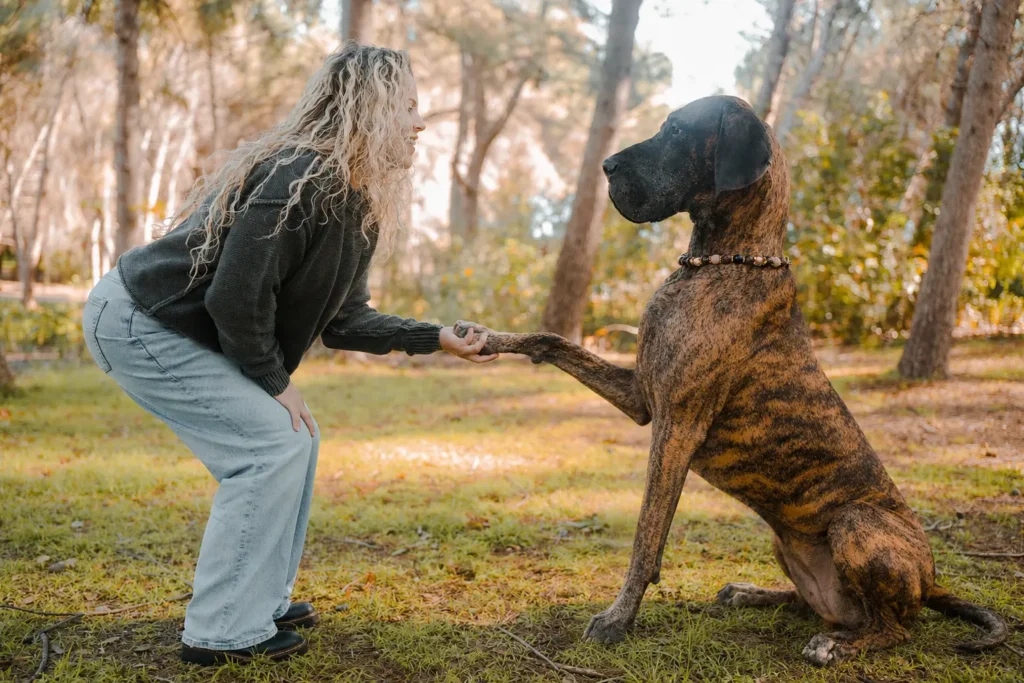 Fullerton counselor Keri Prather, LMFT, bonding outdoors with her supportive Great Dane therapy companion, Anders.